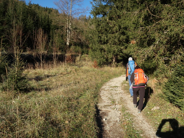 Frank und Melanie zwischen Sackwaldboden und H&auml;uselalm (16. Nov.)