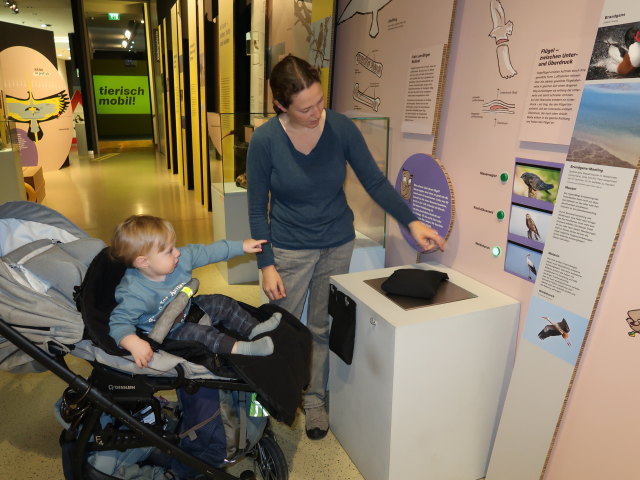 Nils und Sabine in der Sonderausstellung 'Tierisch mobil! Natur in Bewegung'