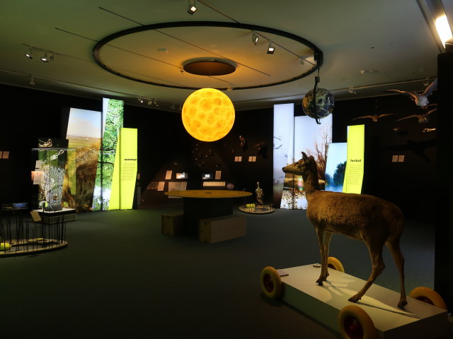 Sonderausstellung 'Tierisch mobil! Natur in Bewegung'