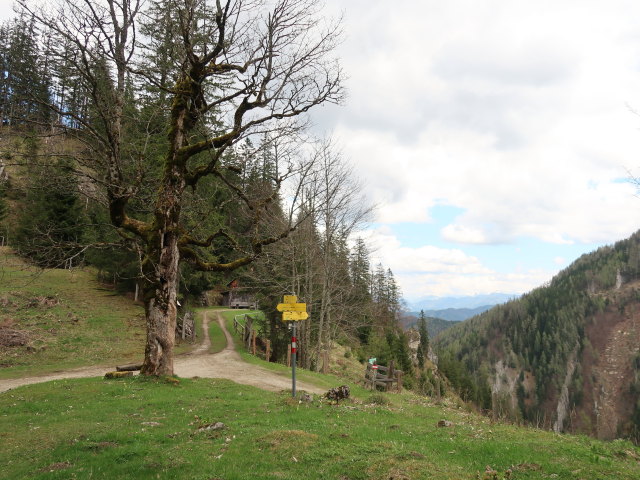 Sauboden, 1.143 m