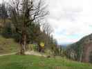 Sauboden, 1.143 m