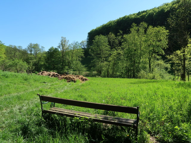 Dambachtal