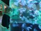 Nils im Nords&oslash;en Oceanarium in Hirtshals (25. Mai)