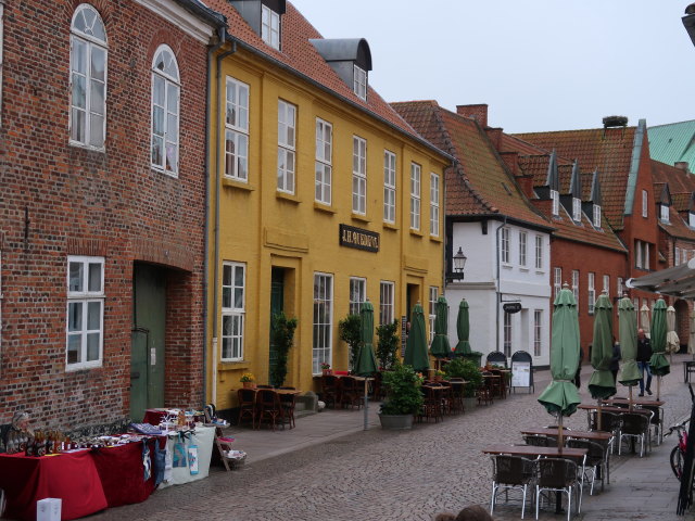 Overdammen in Ribe (28. Mai)