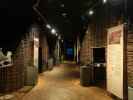 Museet Ribes Vikinger in Ribe (28. Mai)