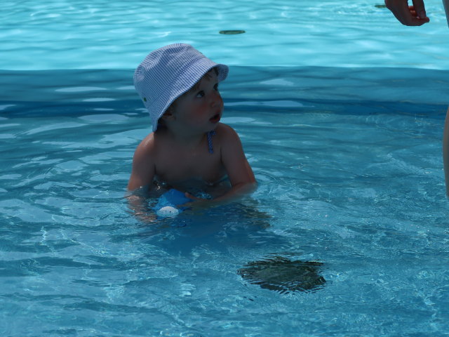Nils