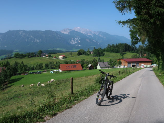 Kleiner (10. Juni)