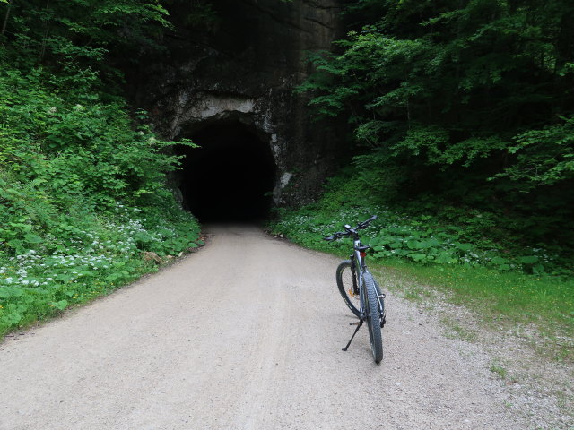  (10. Juni)