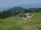 Ebenforstalm, 1.105 m (10. Juni)
