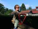Nils