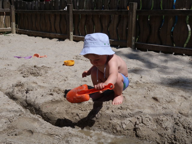 Nils