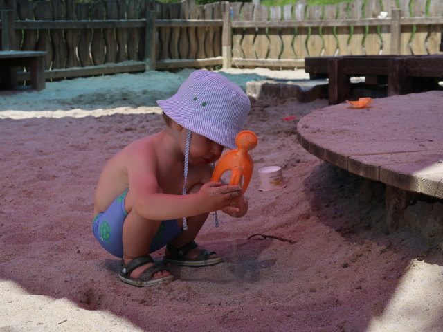 Nils