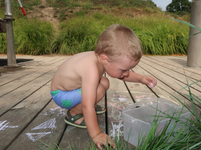 Nils