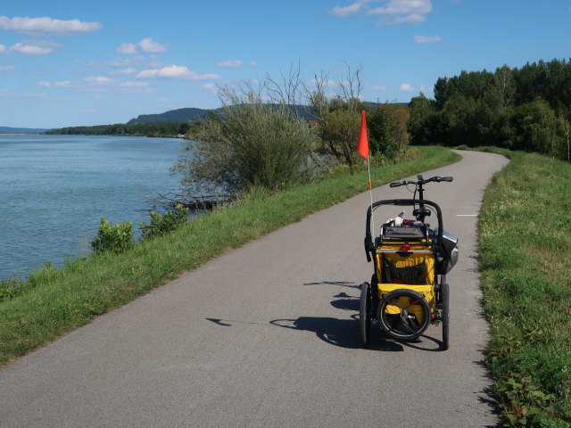 bei Muckendorf