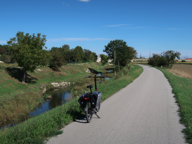 Kledering