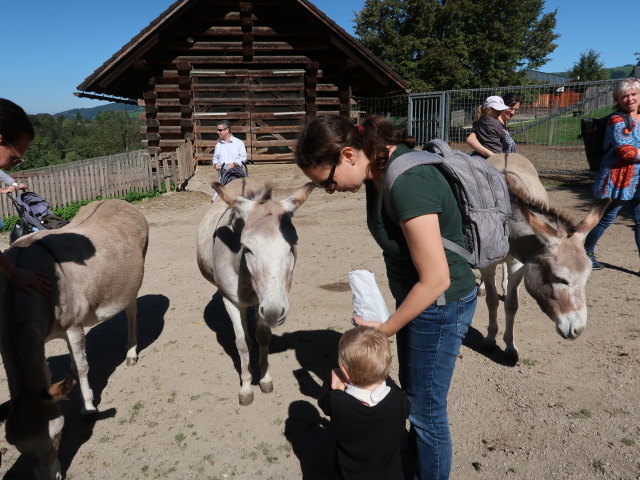 Ursa, Nils und Sabine im Tierpark Buchenberg