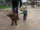 Sabine und Nils im Streichelzoo