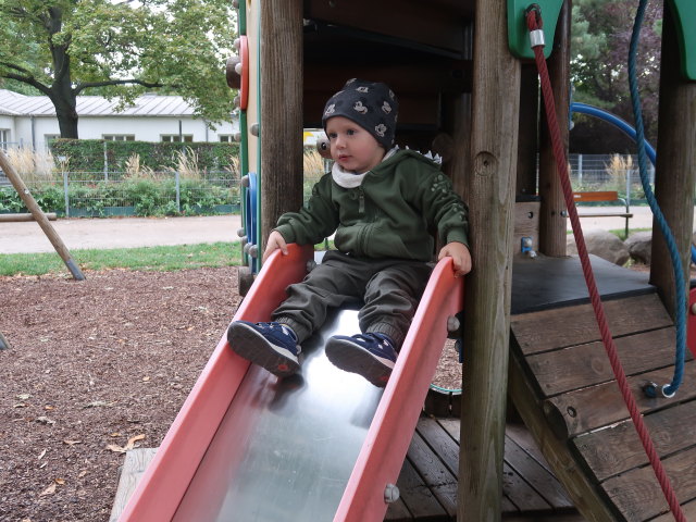 Nils