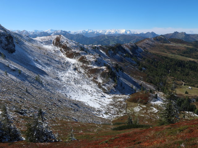 Kleinwildalm