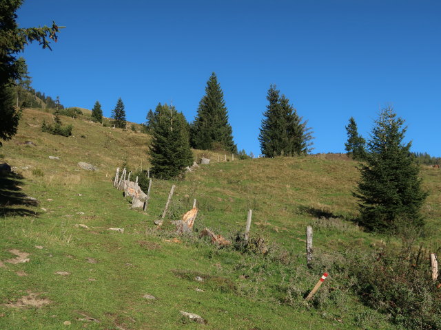 zwischen Unterwandalm und Unterwand