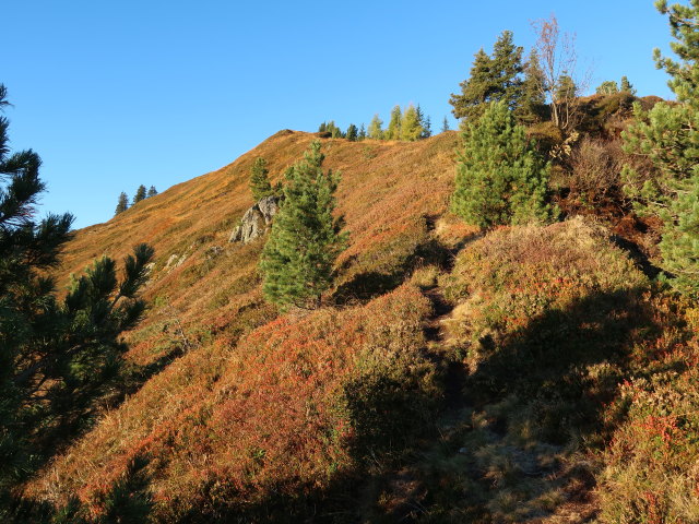 zwischen Haglangeralm und Gerstinger Joch (12. Okt.)