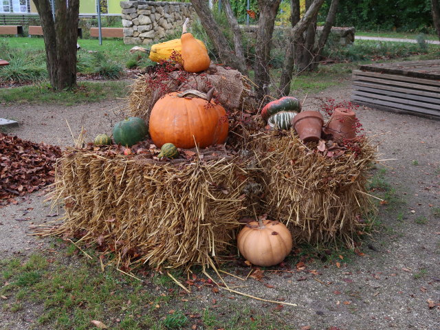 Die Garten Tulln