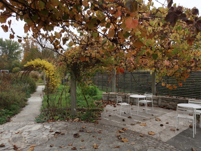 Die Garten Tulln