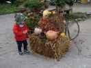 Nils