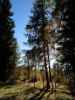 zwischen Wildbachhh&uuml;tte und Parkplatz Wildbachh&uuml;tte