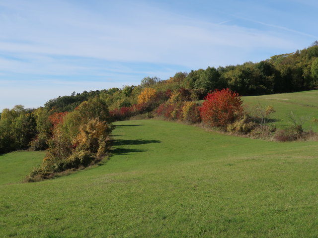 Mitterbergen