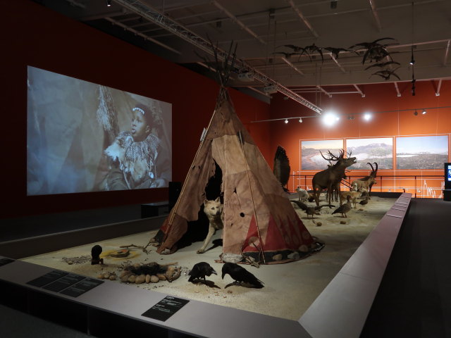 Ausstellung 'Eiszeit' im Museum Mistelbach