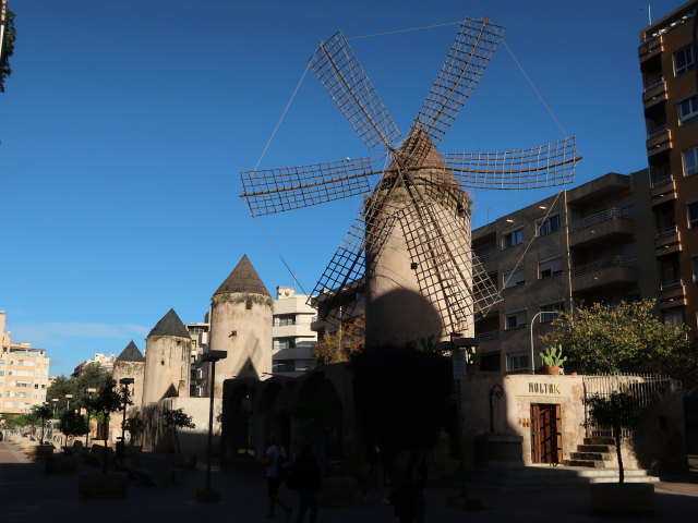Molins Fariners del Carrer Ind&uacute;stria in Palma (15. Nov.)