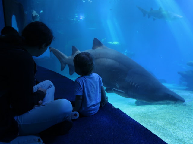 Sabine und Nils im Palma Aquarium (16. Nov.)