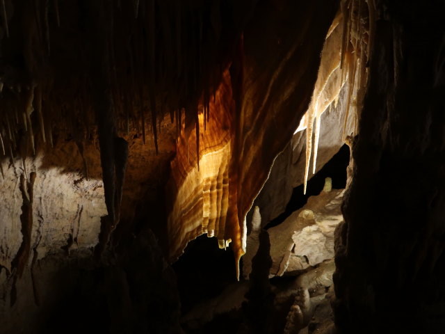 Coves del Drac in Porto Cristo (17. Nov.)