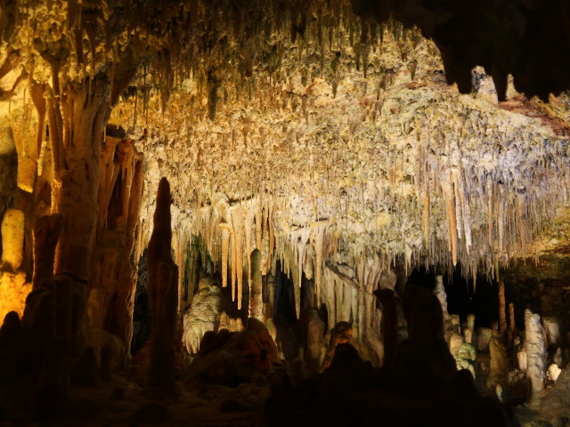 Coves dels Hams in Porto Cristo (21. Nov.)