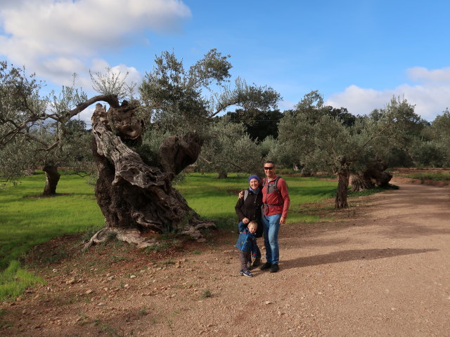 Nils, Sabine und ich in der Finca Son Moragues (24. Nov.)