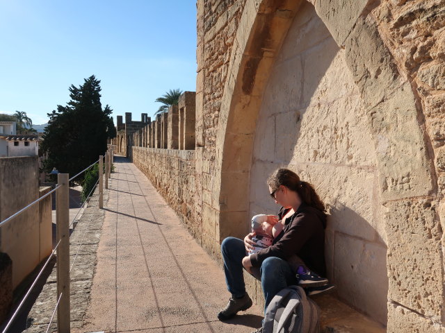 Nils und Sabine auf den Murades d'Alc&uacute;dia (29. Nov.)