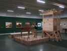 Sonderausstellung 'Sehnsucht Wald'