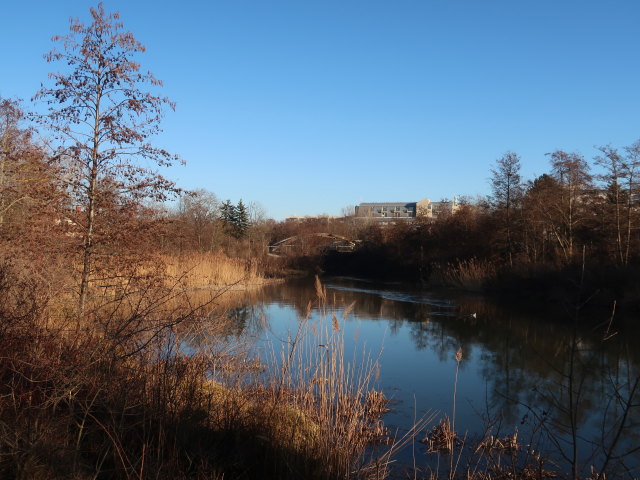 Marchfeldkanal zwischen Stammersdorf und Gro&szlig;-Jedlersdorf