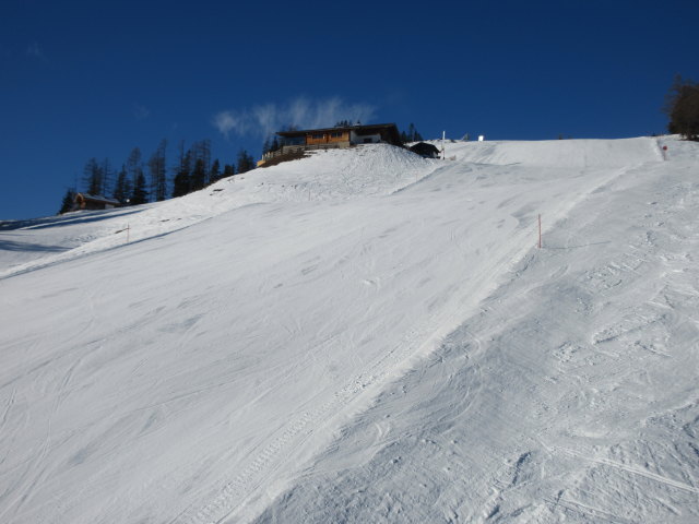 Piste 'Waldalm - Kreuzboden'