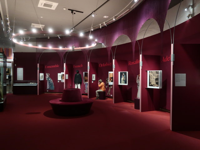 Sonderausstellung '200 Jahre Johann Strauss'