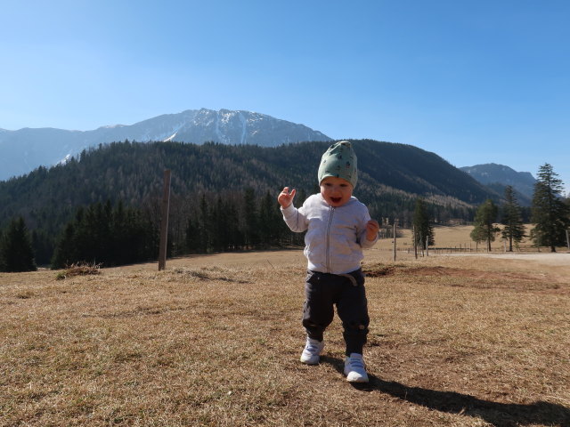 Nils auf der Mamauwiese, 957 m