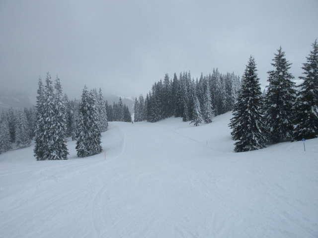 Piste Crep de Mont (16. M&auml;rz)