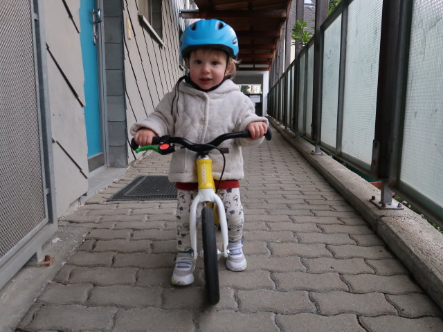 Nils in der Wohnhausanlage S&uuml;&szlig;enbrunner Platz 12 (26. M&auml;rz)