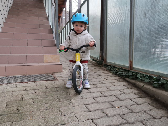 Nils in der Wohnhausanlage S&uuml;&szlig;enbrunner Platz 12 (26. M&auml;rz)