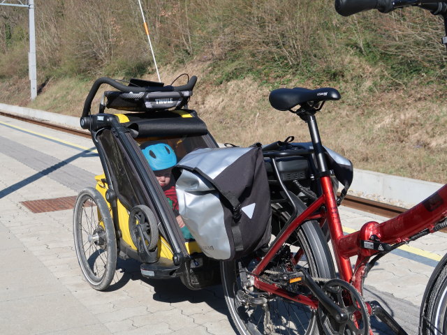 Nils im Bahnhof Niederkreuzstetten, 241 m
