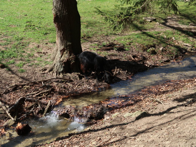 Kleintiergehege