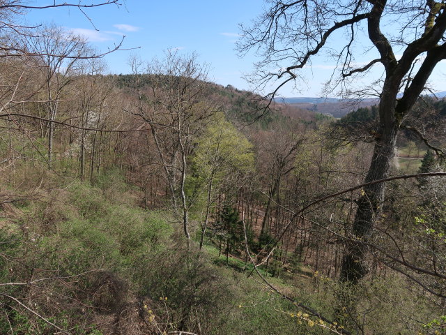 von der Ruine Johannstein Richtung Südosten