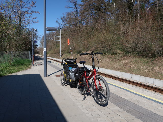 Nils im Bahnhof Niederkreuzstetten, 241 m