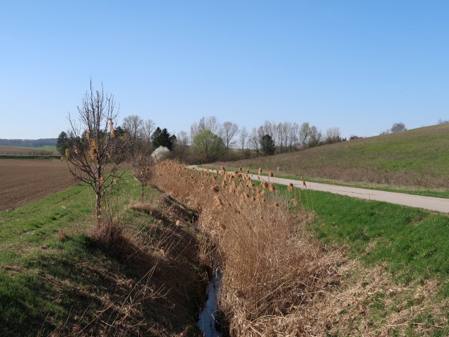 Hautzendorfer Bach zwischen Niederkreuzstetten und Hautzendorf